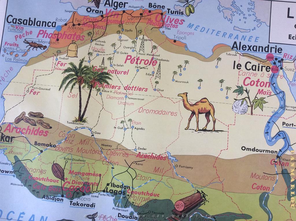 ALGERIE (17).jpg
